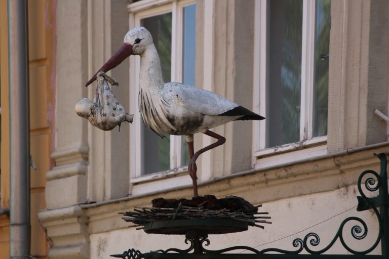 Anfrage zur Hebammenversorgung im Wochenbett in Halle