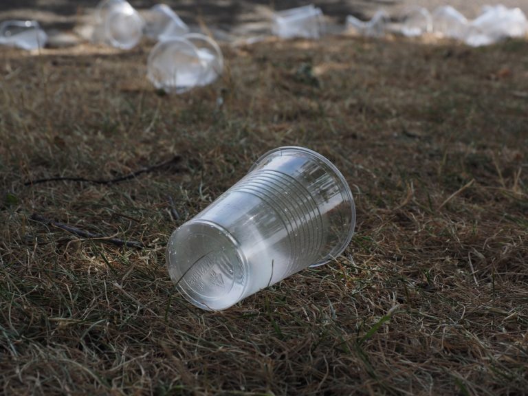 Antrag der Fraktion zur Vermeidung von Einwegplastikmüll