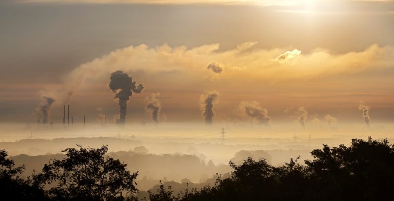 Anfrage zu Ergebnissen der Arbeit der Kommission zur Gestaltung des Kohleausstiegs