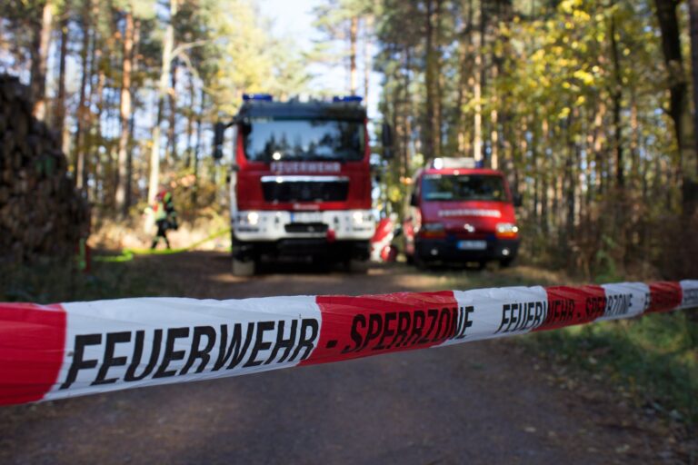 Anfrage zur Waldbrandgefahr in der Dölauer Heide