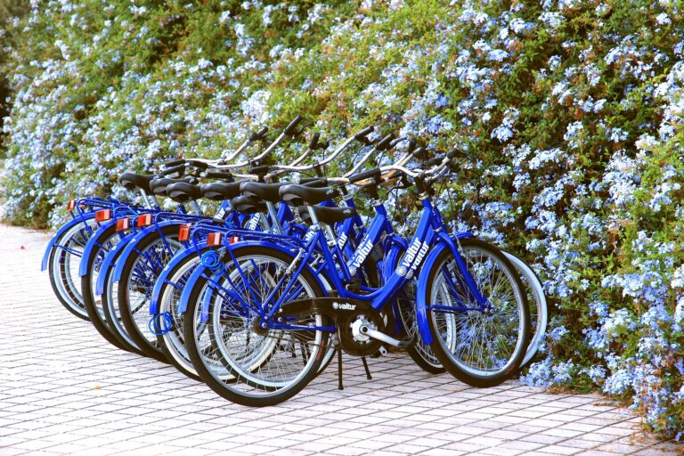 Anregung zur Aufstellung von Fahrradständern auf der Peißnitzinsel