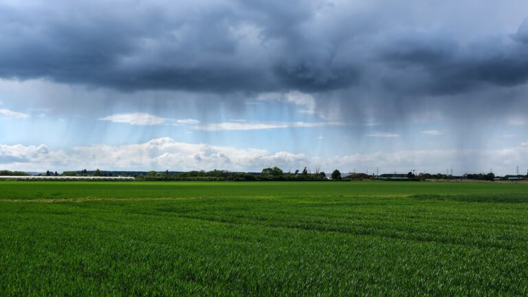 Verpachtung städtischer Landwirtschaftsflächen stärker am Gemeinwohl orientieren