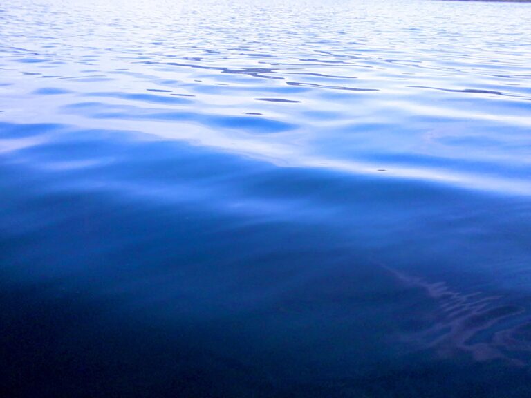 Anfrage zu den bisherigen Ergebnissen der Untersuchungen zur Wasserqualität im Hufeisensee