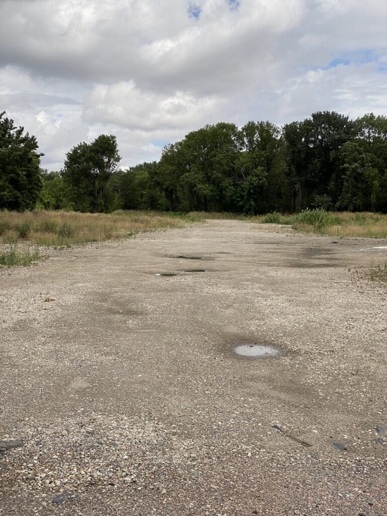 Anfrage zu Baumfällungen im Bereich des geplanten Wohngebietes am Sophienhafen, Südseite